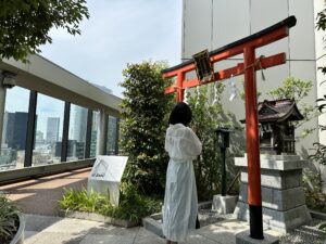 gallery-8